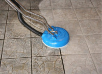 Fresh Carpet Cleaning