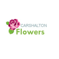 Carshalton Flowers