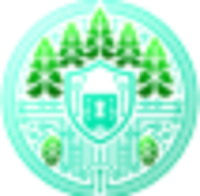 Cyberfores