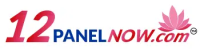 12pannelnow