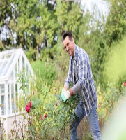 Landscapers Notting Hill