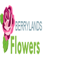 Berrylands Flowers