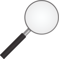 Private Investigation