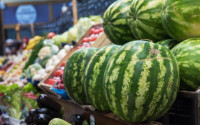Distributed Premium Greek Watermelons in UK 2026