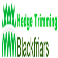 Hedge Trimming Blackfriars