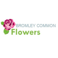Bromley Common Flowers