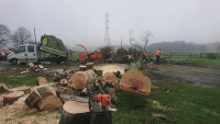 Site clearance in Roundhay, Alwoodley, Leeds