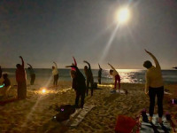 Personalized Live Online Yoga and Meditation Classes in Miami