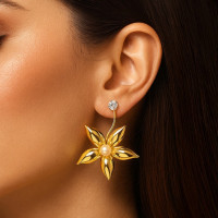 western earrings