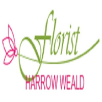 Florist Harrow Weald