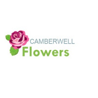 Camberwell Flowers