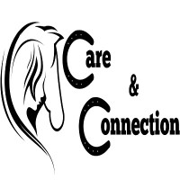 Horse Care and Connection