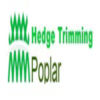 Hedge Trimming Poplar