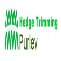 Hedge Trimming Purley