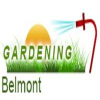 Gardening Belmont