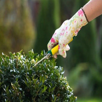Landscapers Mayfair
