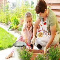 Landscapers Barnet