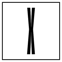 X Print Studio