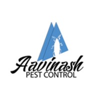 Pest Control Services in Chennai – Aavinashpestcontrol.com