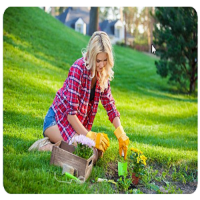 Hendon Gardening