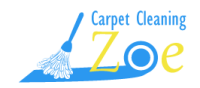 professional cleaning company