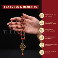 Rudraksh Mala – Authentic & Sacred Beads | The Divine Tales