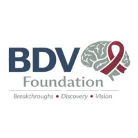 BDV Foundation
