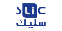 Slic Store
