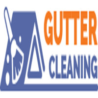 Gutter Cleaning
