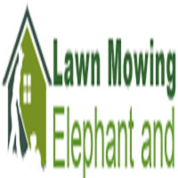 Lawn Mowing Elephant and Castle