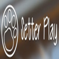 Setter Play