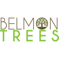 Belmontrees LTD