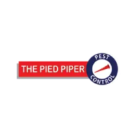 The Pied Piper
