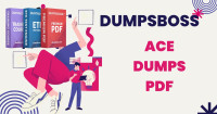 Boost Your Exam Success with Dumpsboss ACE Dumps PDF