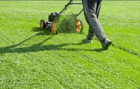 AM Cutts and Property Services,LLC