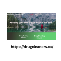 Professional Biohazard Cleanup Edmonton for Safe and Thorough Decontamination