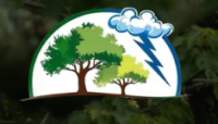 Affordable and Reliable Tree Service