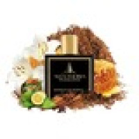 Premium Inspired Scents for Every Style and Budget