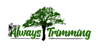 Always Trimming Tree Specialists LLC