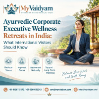 Ayurvedic Corporate Executive Wellness Programs in India