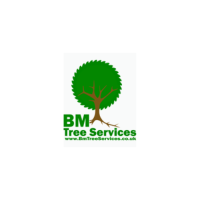 BM Tree Services