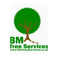 BM Tree Services