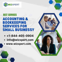 Wizxpert Daily Bookkeeping Services For Small Businesses