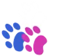 Kitchener Veterinary Hospital | Bruce Street Animal Hospital