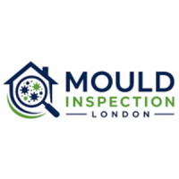 Mould Inspection London