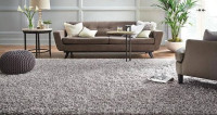 Carpets Suppliers & Contractors in Abu Dhabi