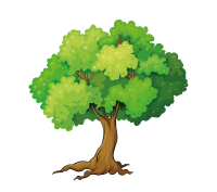 Chichester Tree Solutions
