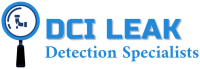 DCI Leak Detection