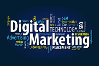Digi Media Services| Best Digital Marketing Institute In Rohini