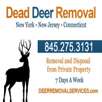 Dead Deer Removal